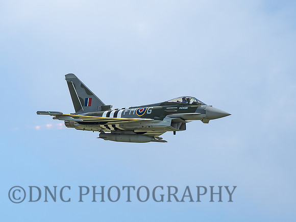 TYphoon FGR4 ZJ913 Moggy