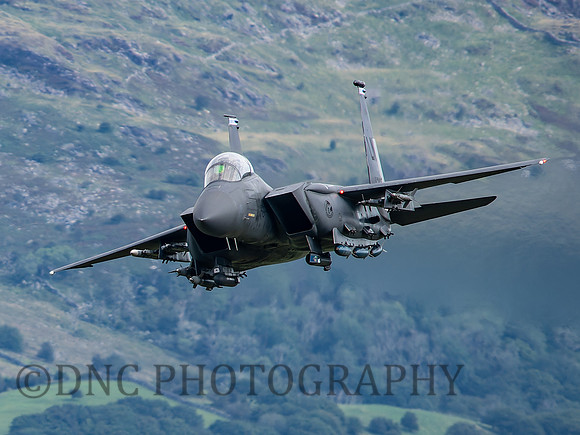 USAF F-15E Strike Eagle LN AF 91 0316 Cad East 11th August