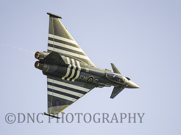 TYphoon FGR4 ZJ913 Moggy