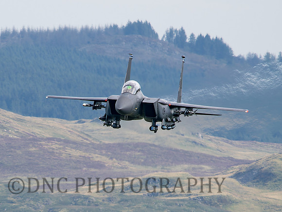 USAF F-15E Strike Eagle LN AF 91 0316 Cad East 11th August