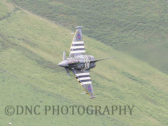Typhoon FGR4 ZJ913 Moggy