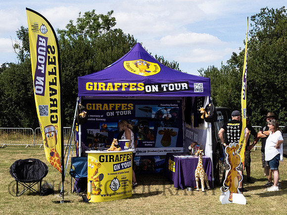 GIRAFFES ON TOUR