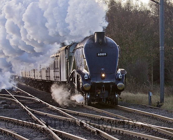 A4 60009 Union of South Africa 'The Christmas White Rose' 01-12-12