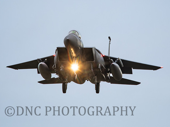 F-15E Strike Eagle LN AF 91-602