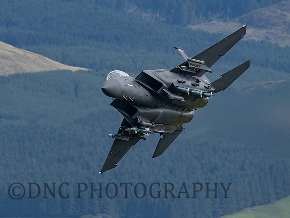 USAF F-15E Strike Eagle LN AF 91 0316 Cad East 11th August