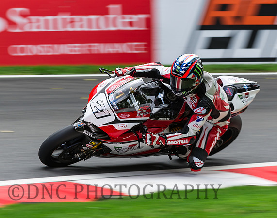 John Hopkins Moto Rapido Ducati Panigale R