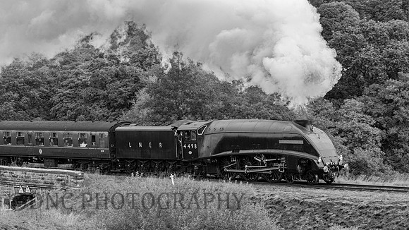 LNER A4 4498 Sir Nigel Gresley at Moorgates 22nd Sept.m