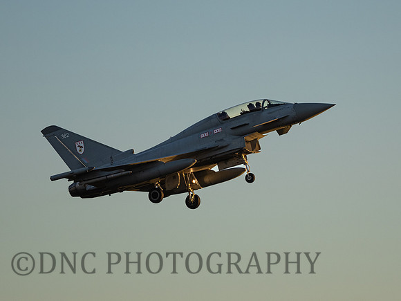 Typhoon T.3 ZK382