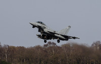 Typhoon FGR4 ZJ946