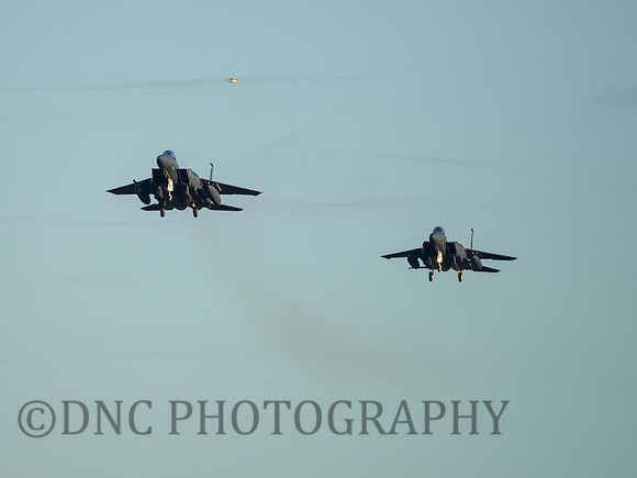 USAF F-15E Strike Eagle 91-302 & 96-202