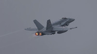 Swiss Air Force FA-18D Hornet J-5013