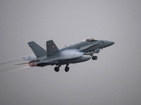 Swiss Air Force FA-18D Hornet J-5016