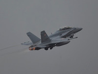 Swiss Air Force FA-18D Hornet J-5232