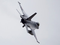 Royal Danish Air Force General Dynamics F-16AM Fighting Falcon  E-598
