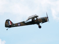 Auster AOP.6 TW536