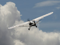 Auster AOP.6 TW536