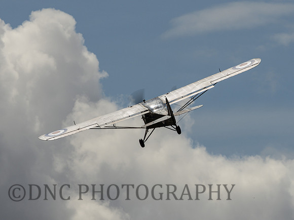 Auster AOP.6 TW536
