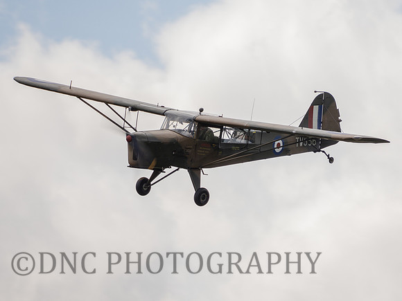 Auster AOP.6 TW536