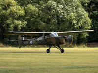 Auster AOP.6 TW536