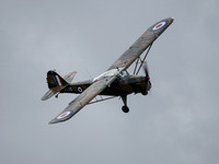 Auster AOP.6 TW536