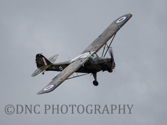 Auster AOP.6 TW536