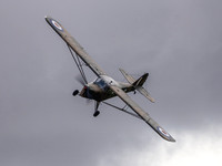 Auster AOP.6 TW536