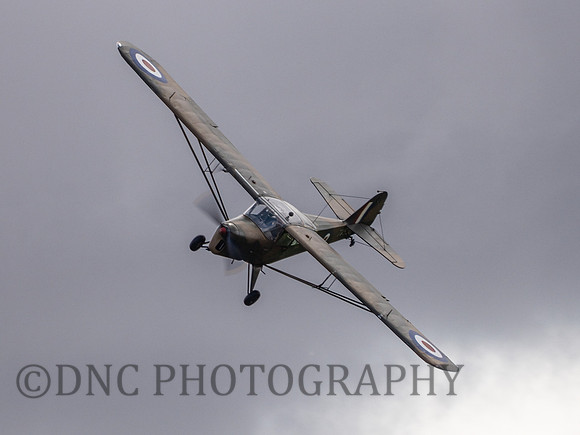 Auster AOP.6 TW536