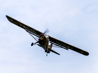 Auster AOP6 TW536