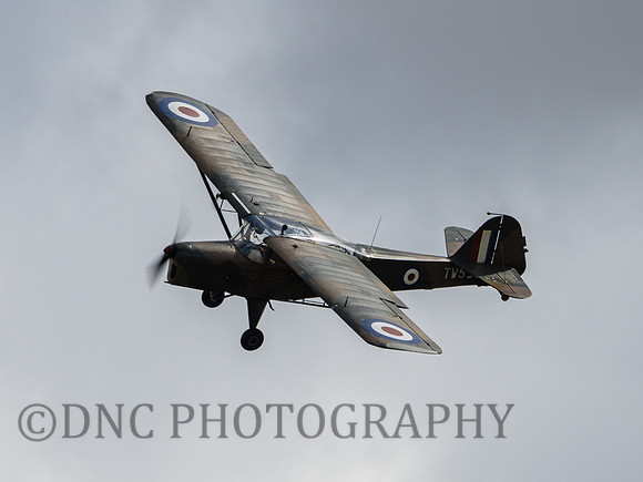 Auster AOP.6 TW536