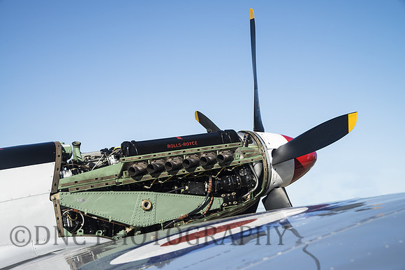 Supermarine Spitfire (Mk PRXIX) PS915