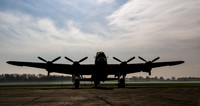 Just Jane Silhouette
