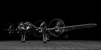 Just Jane NX611
