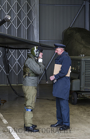 Pilot prepares