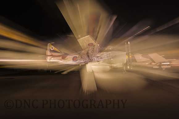 Gannet zoom