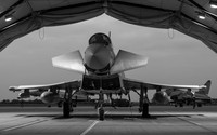 Eurofighter Typhoon T3 ZJ810 29 (R) sqn m