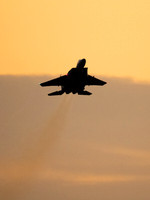 USAF F-15E Strike Eagle LN AF91-303