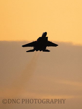 USAF F-15E Strike Eagle LN AF91-303