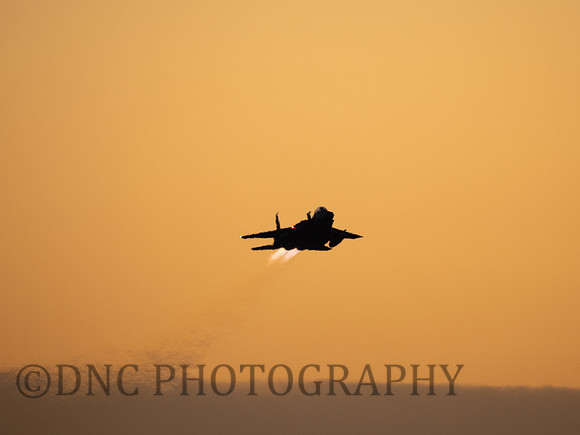 USAF F-15E Strike Eagle LN AF91-603