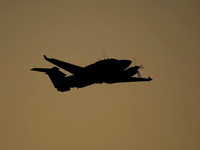 Beech Shadow R1 ZZ416