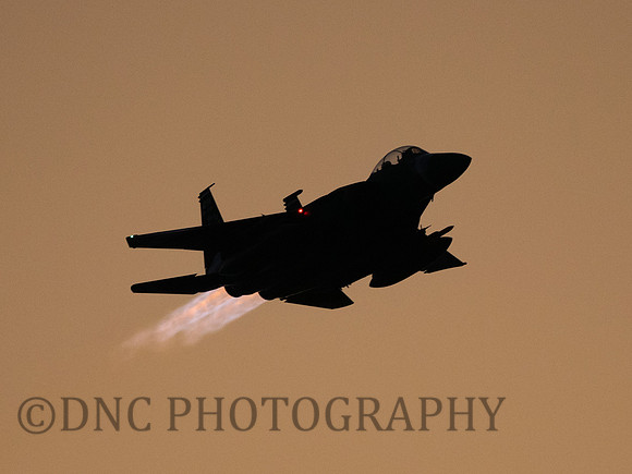 USAF F-15E Strike Eagle LN AF92-0364 Heritage