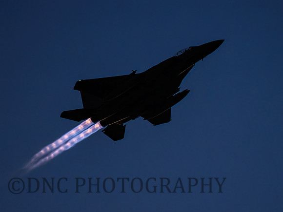 USAF F-15E Strike Eagle LN AF 01-2000