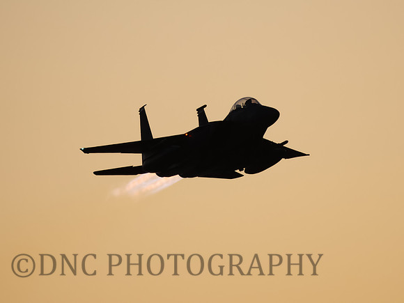 USAF F-15E Strike Eagle LN 91-311