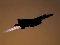 USAF F-15E Strike Eagle LN AF 01-2000