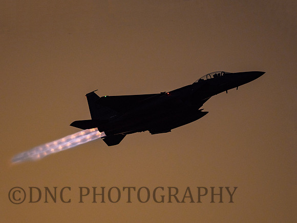 USAF F-15E Strike Eagle LN AF 01-2000