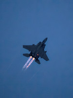 USAF F-15E Strike Eagle LN AF91-603