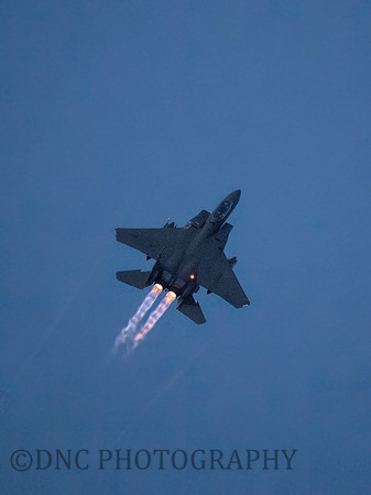 USAF F-15E Strike Eagle LN AF91-603