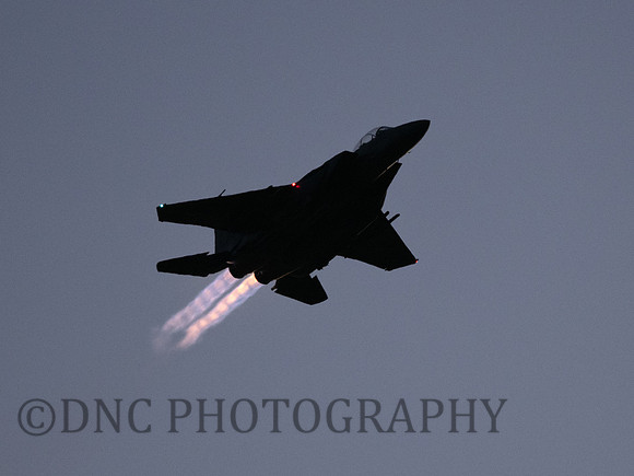 USAF F-15E Strike Eagle LN AF91-303