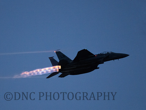 USAF F-15E Strike Eagle LN AF91-603