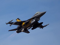 Belguim Air Force F-16AM Fighting Falcon FA-136 The X Tiger .3