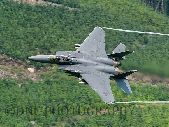 F-15E Strike Eagle LN AF 91-0321